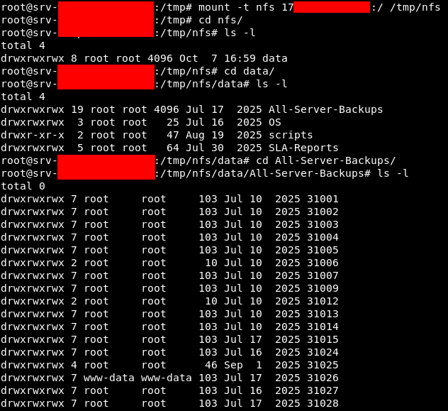 Backup on NFS Server
