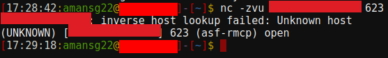 UDP Port Scan