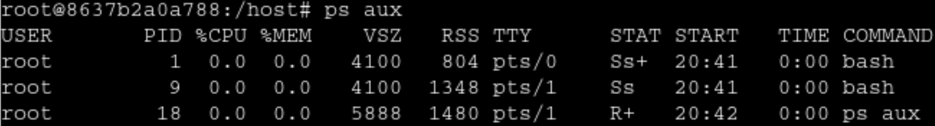 Container Bash Shell PID