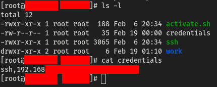 SSH Credentials