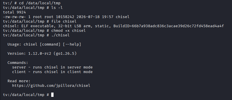 chisel binary on the device, verified and executable