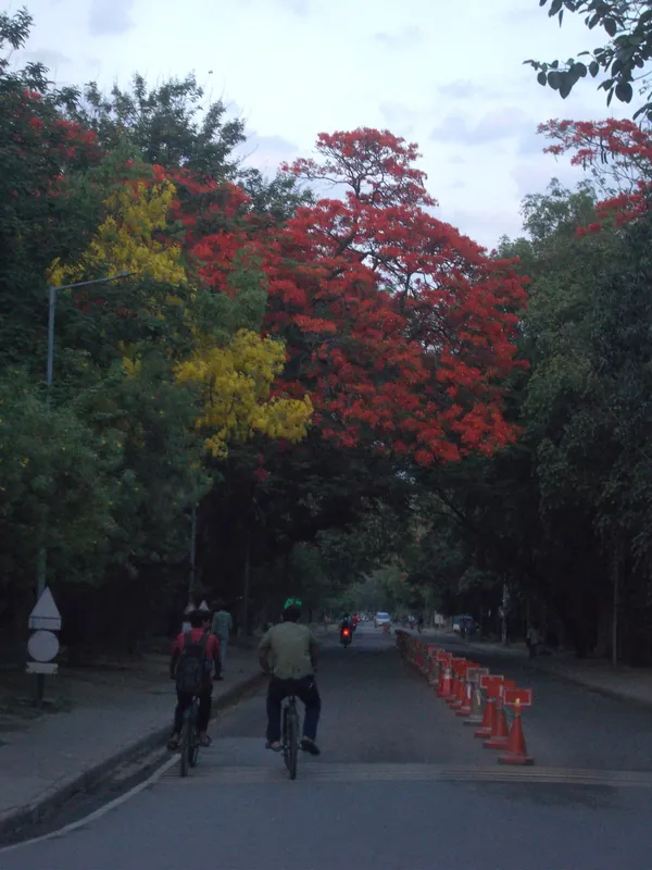 IIT Kanpur · Photo 10