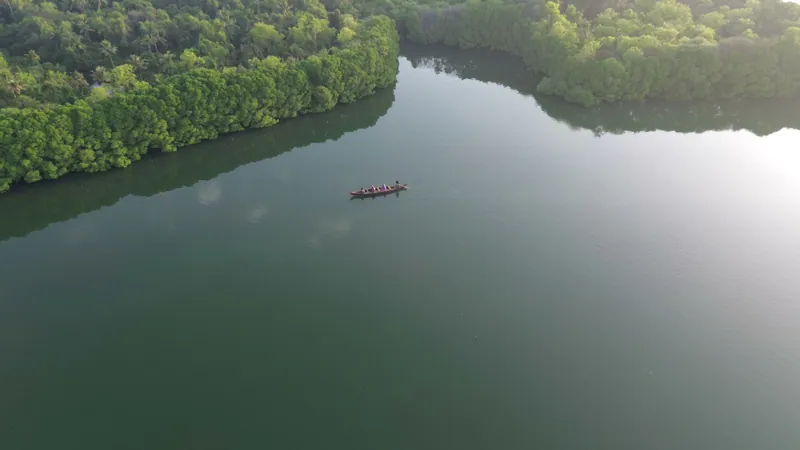 Kerala · Drone still 3
