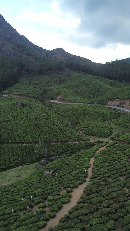 Kerala · Drone still 19