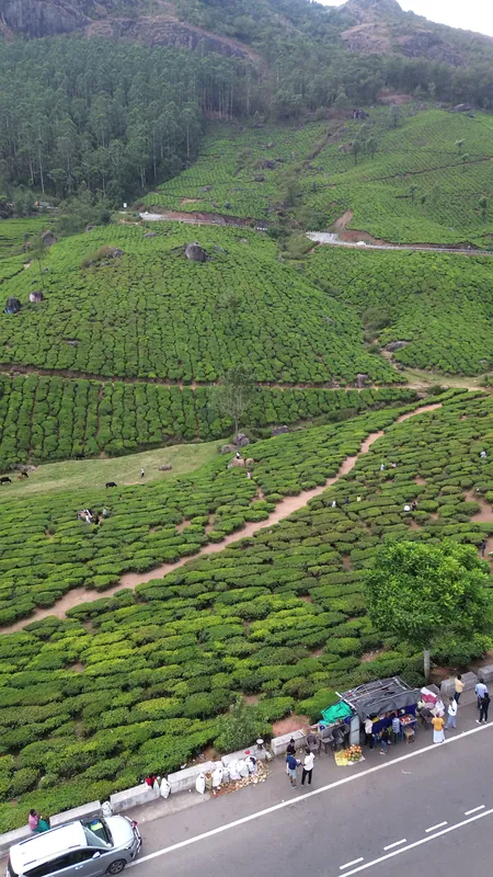 Kerala · Drone still 20