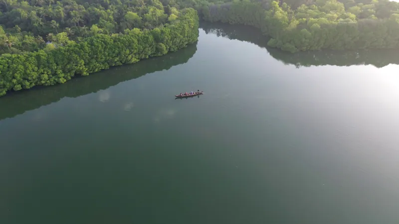 Kerala · Drone still 4