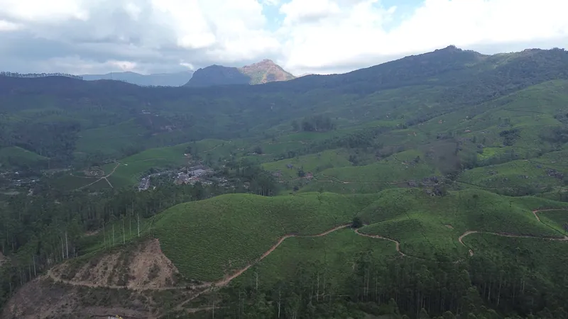 Kerala · Drone still 17