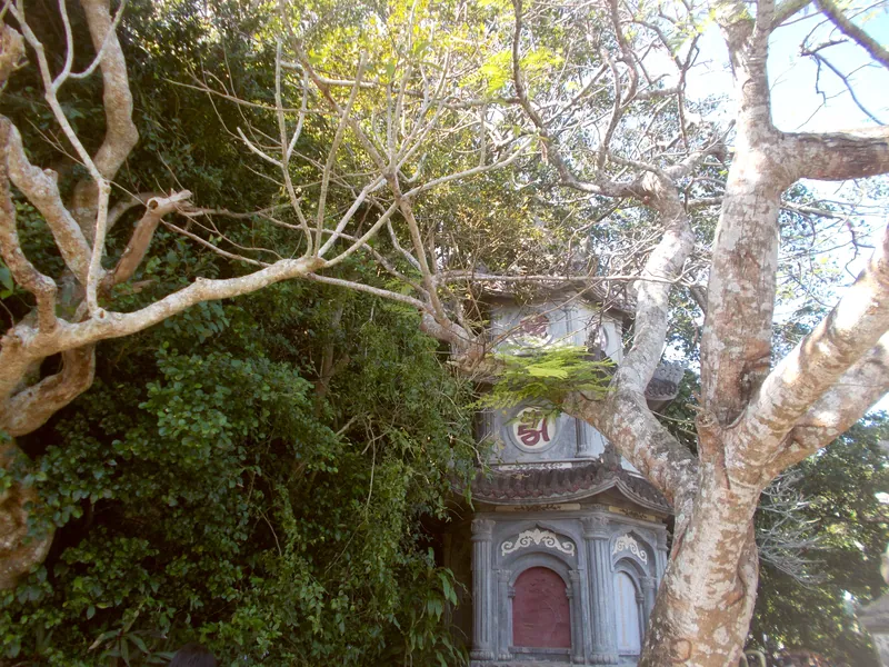 Vietnam · Photo 56